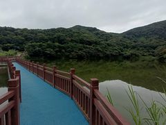 -黄埔油麻山森林公园