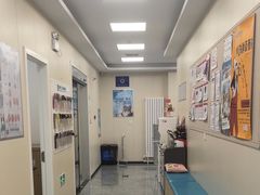 -美联众合爱康动物医院•复杂内科•肿瘤科•牙科•腔镜诊疗中心