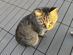 -前叁門