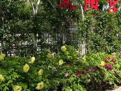 -太阳宫公园