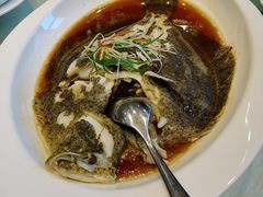 多宝鱼-橄榄季酒店