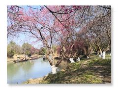 -西溪国家湿地公园