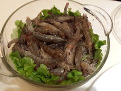 -龙福成肥牛火锅(文昌店)