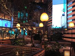 -桂满陇·海市蜃楼·黑金(国金店)