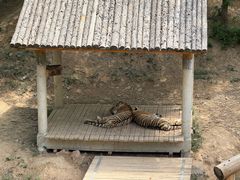 -石家庄市动物园