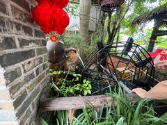 -园林美食城·本土农家菜(杨和镇店)