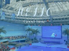-海合安成都极地海洋公园