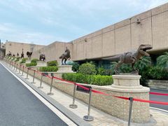 -自贡恐龙博物馆