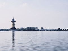 -溱湖国家湿地公园