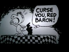 -万达影城(潍坊万达广场IMAX店)