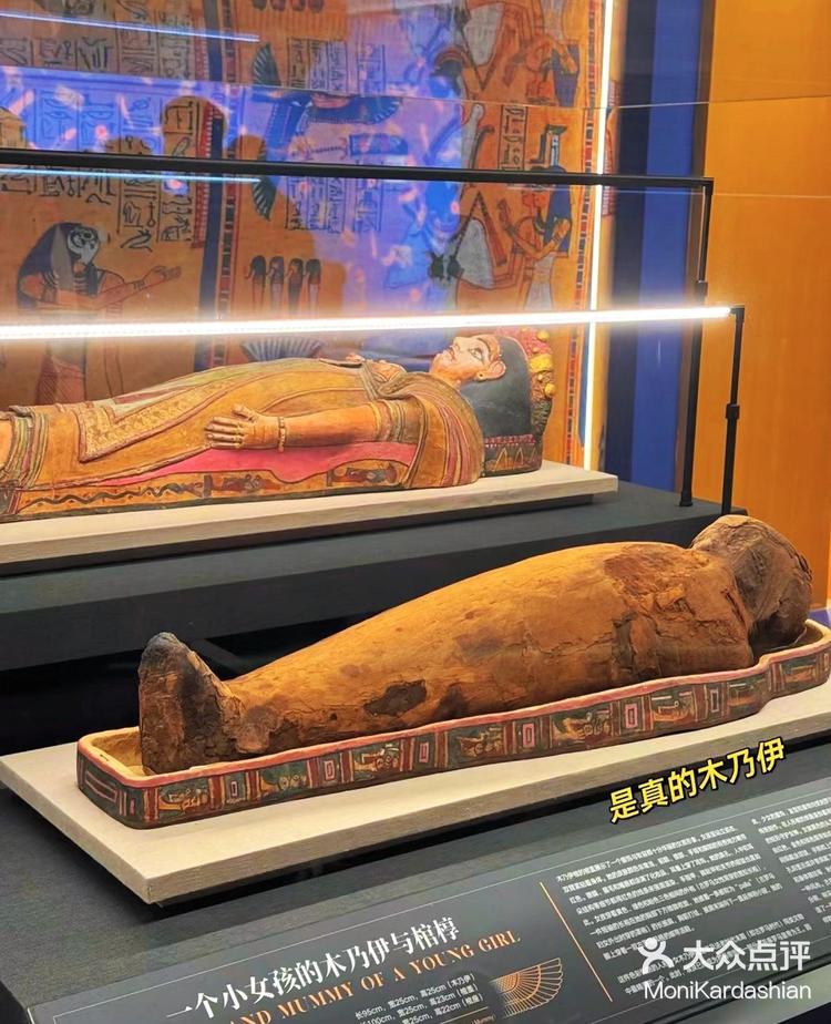 遇见埃及法老木乃伊上海大展一定要来