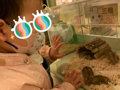 -龙猫仔乐园(惠福东路店)