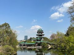 -桂湖森林公园