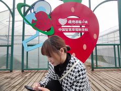 -建德果蔬乐园绪塘草莓基地