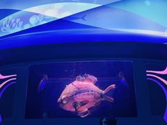 -海底巡游艇:尼莫和好友的海洋世界