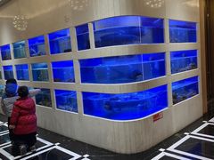 -隆聚·时令海鲜(洪兴店)