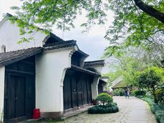 -西溪国家湿地公园