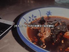 -Darling Queen·Mini·Live·House