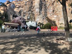 -西霞口神雕山野生动物世界