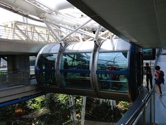-新加坡摩天观景轮