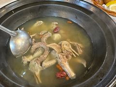 -一煲鸽