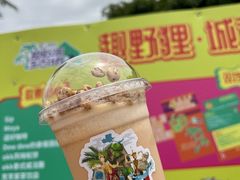 -野狸岛
