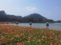 -顺峰山公园