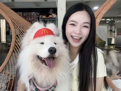 -星多哈·狗咖·拼豆·咖啡