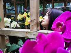 -南山植物园