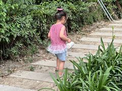 -成都市活水公园