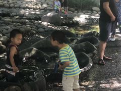 -成都市活水公园