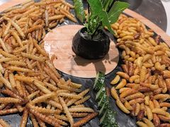 -云尊府云南菜·蒸汽石锅鱼(学清路店)