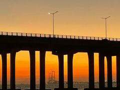 -宝安西湾红树林湿地公园