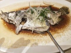 -锦粤宫·精致粤菜(深圳北站店)