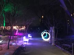 -枫花园汽车电影院(朝阳公园店)