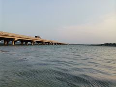 -丁香湖公园