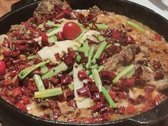 -老板恋上鱼(恒隆广场店)