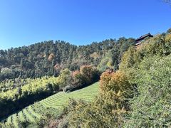 -敬亭山风景名胜区