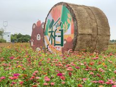 -嘉北郊野公园