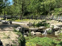 -白水寺森林公园