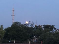 -九里河湿地公园