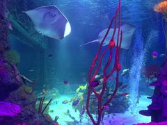 -沈阳海洋探索中心