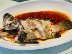 -九朝会昆曲·宴(望京店)