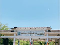 -中国科学院西双版纳热带植物园