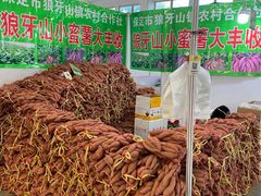 -中国农业博物馆