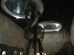 -诸城市恐龙博物馆