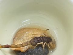 -国英炖品店(甲子路店)