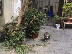 -二楼南书房