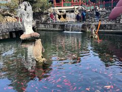 -红螺寺