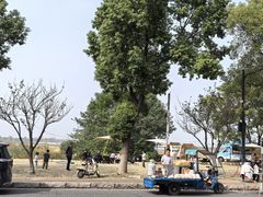 -漕湖湿地公园